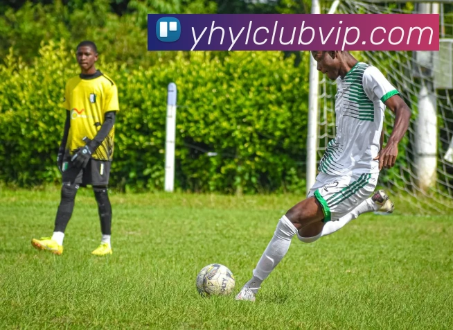 银河娱乐场平台生态图